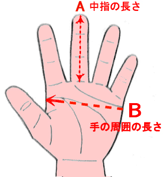 手のサイズ　A/B